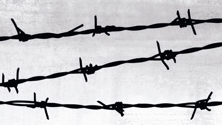 кадр из фильма Ночь и туман