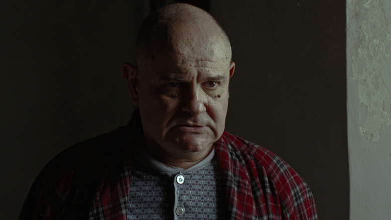 кадр из фильма Il Coleottero