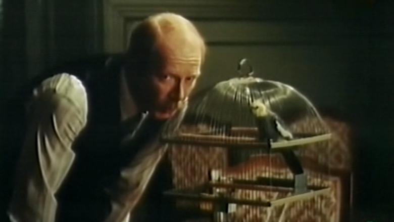 Попугай для сыщика