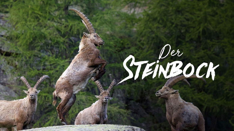 кадр из фильма Le Temps d'une Vie