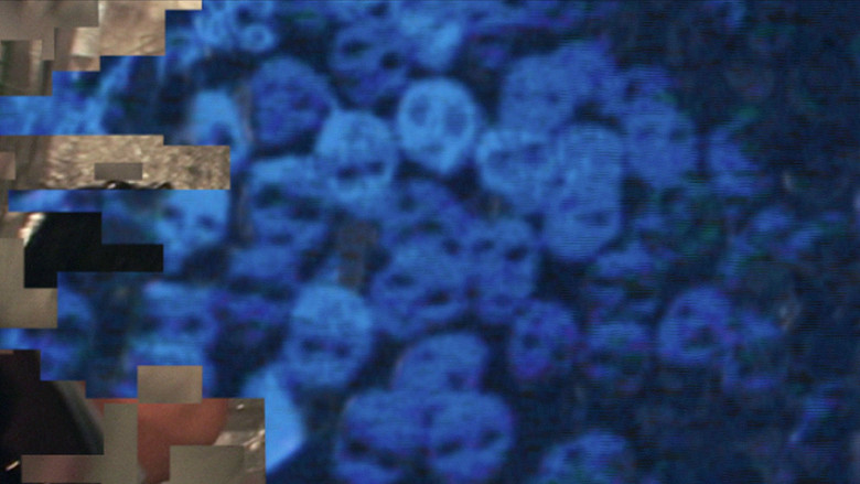 кадр из фильма Проклятие