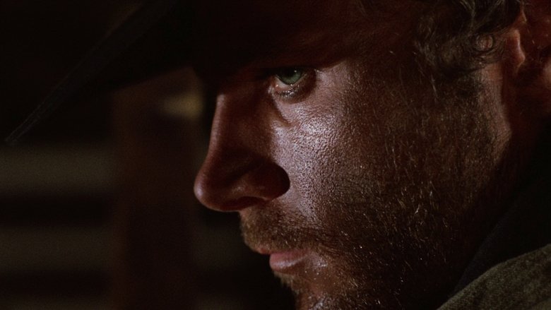 кадр из фильма Джанго