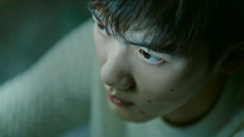 кадр из фильма Краткая история семьи