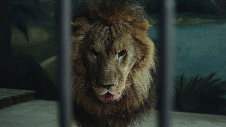 кадр из фильма 长夜将尽