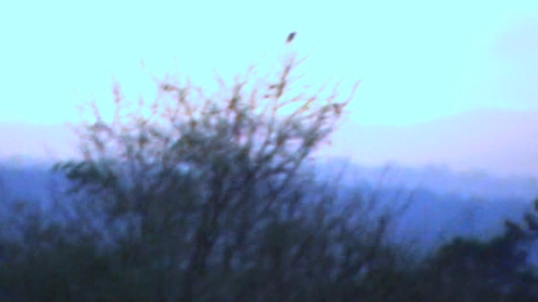 кадр из фильма I BURNT MY BRAIN FOR YOU