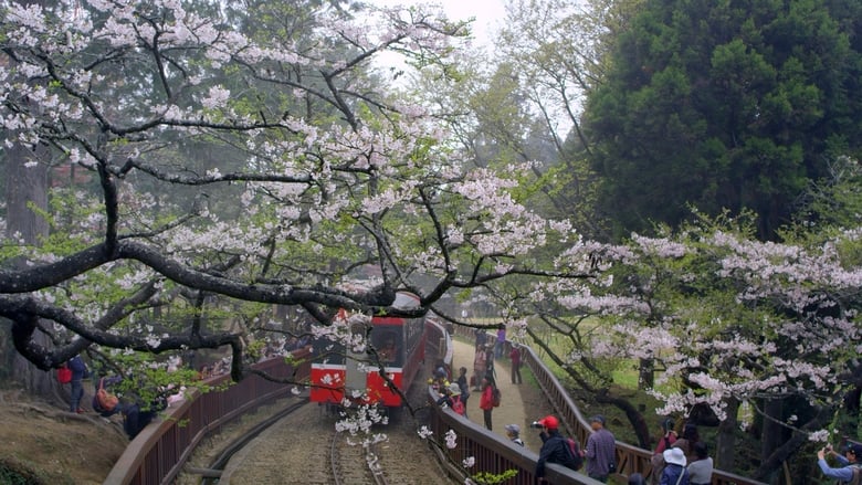 кадр из фильма 美力台灣3D