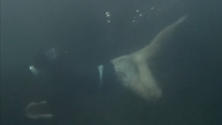 кадр из фильма Непристойная ныряльщица