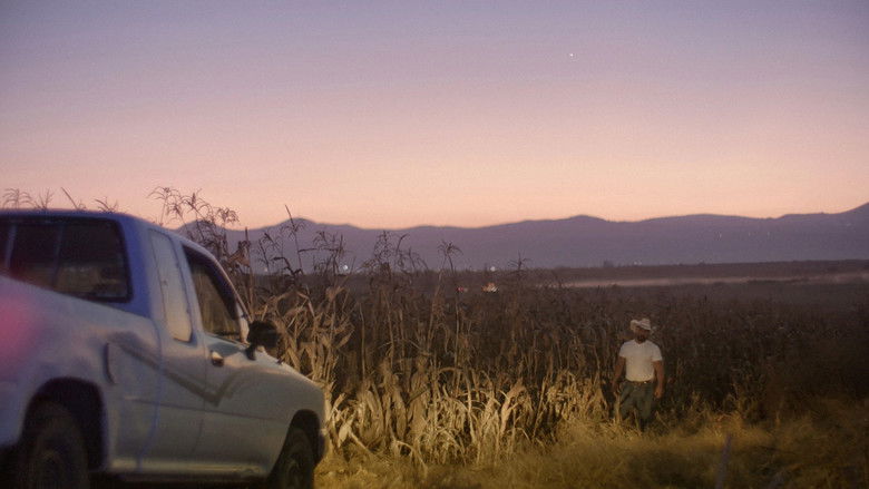 кадр из фильма Jaripeo