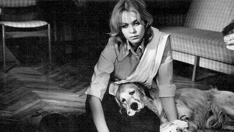 кадр из фильма Белый Бим Чёрное ухо