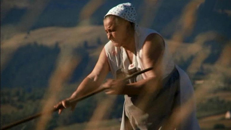 кадр из фильма Szerelempatak