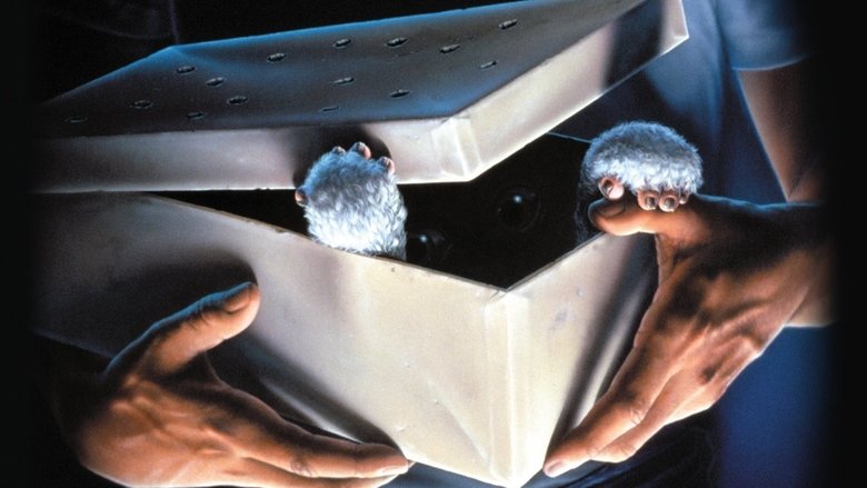 кадр из фильма Гремлины