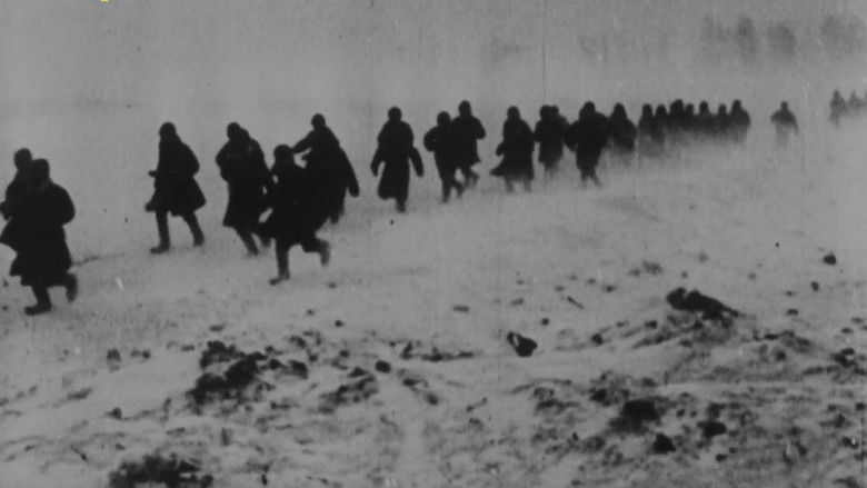 кадр из фильма Memorial