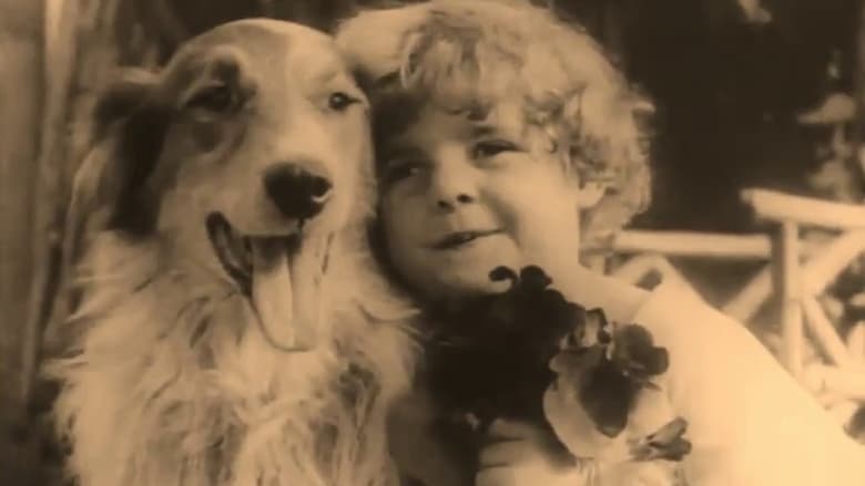кадр из фильма A Dog's Love