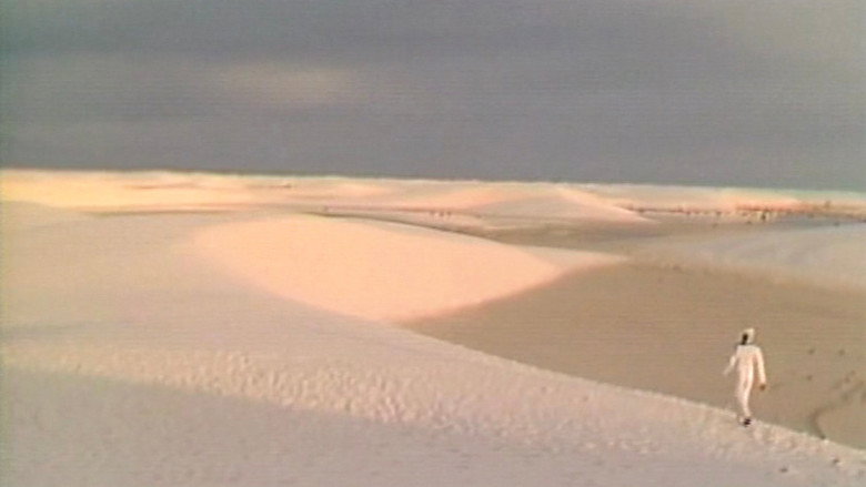 кадр из фильма Wax, or The Discovery of Television Among the Bees