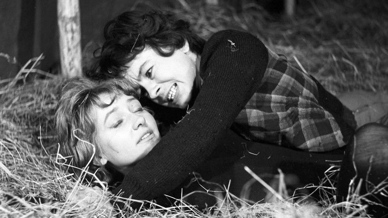 кадр из фильма Dom bez okien