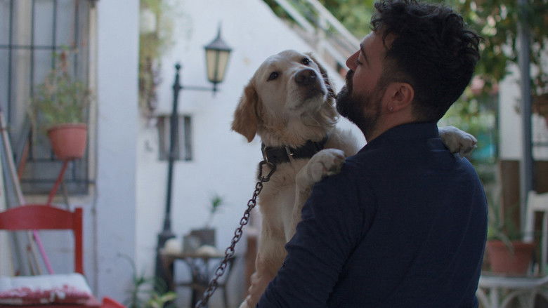 кадр из фильма مرمر مكاني