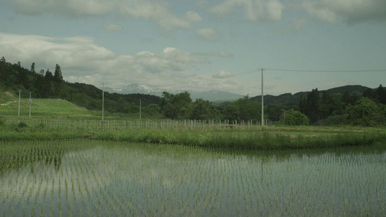 кадр из фильма Маленький лес. Зима, весна