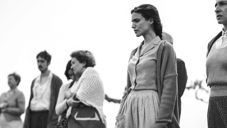 кадр из фильма Semillas