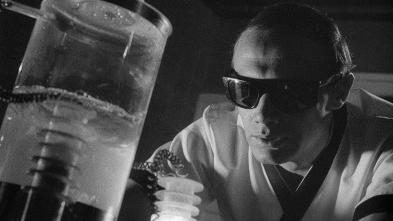 кадр из фильма La venganza del sexo