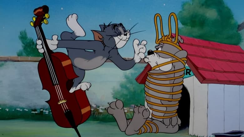 кадр из фильма Серенада любви