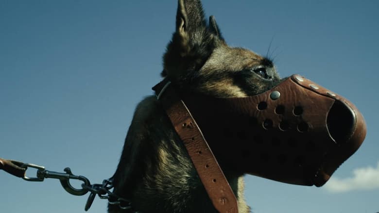 кадр из фильма Hundesoldaten