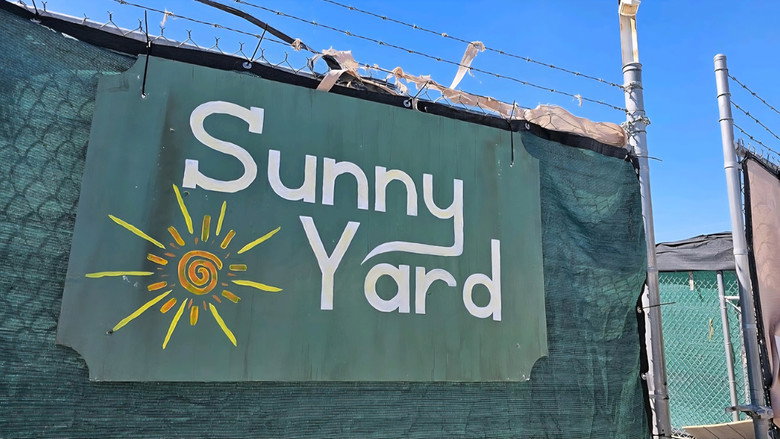 кадр из фильма Sunny Yard