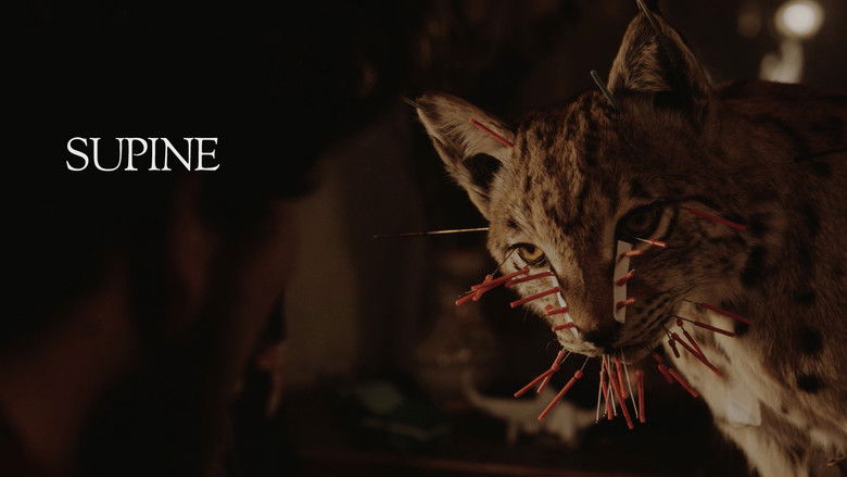 кадр из фильма Supine
