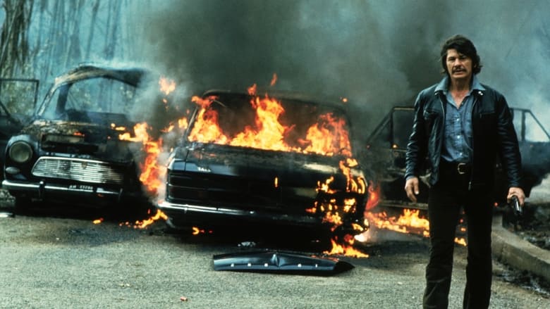 кадр из фильма Механик