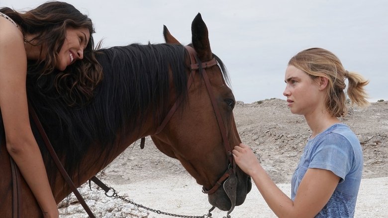 кадр из фильма She's Missing