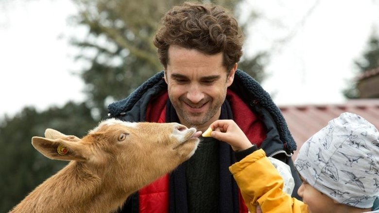 кадр из фильма Das Leben ist kein Kindergarten – Umzugschaos