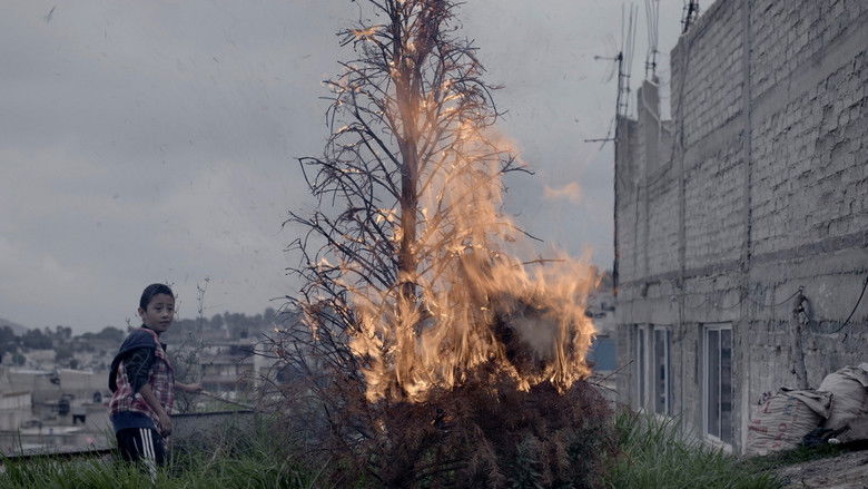 кадр из фильма Fisuras