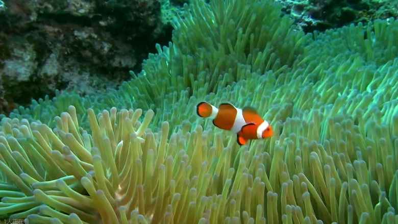 Virtual Trip Diving View