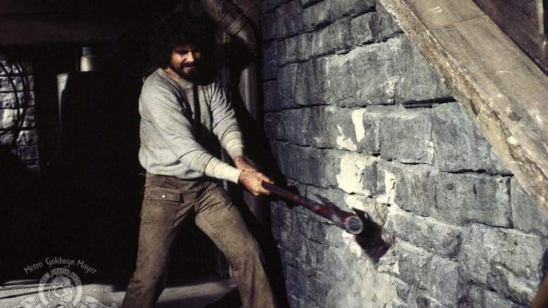 кадр из фильма Ужас Амитивилля