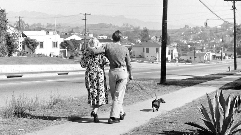 кадр из фильма Послушай меня, Марлон