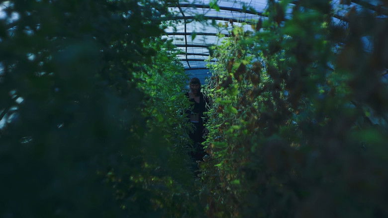 кадр из фильма مين الغول؟