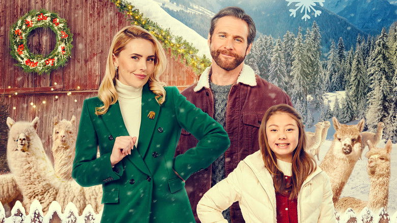 кадр из фильма Christmas on the Alpaca Farm