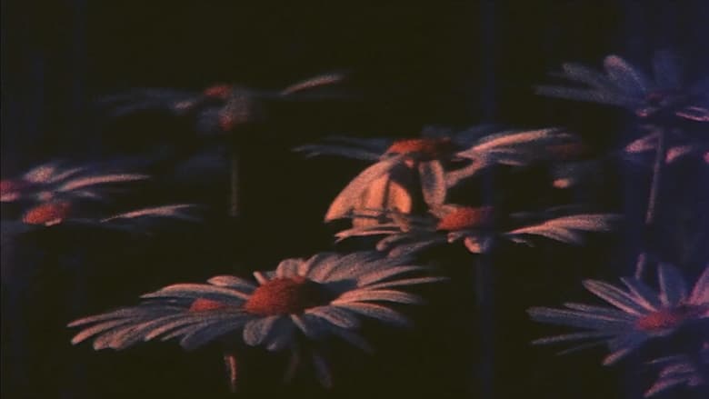 кадр из фильма Ofrenda