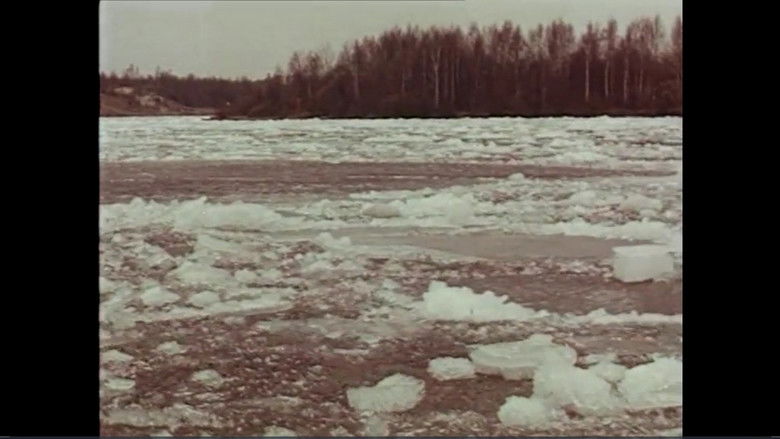 кадр из фильма Вижу Землю!