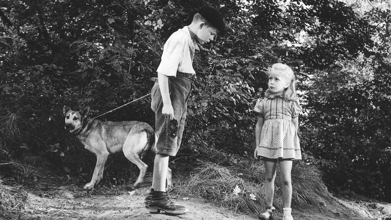 кадр из фильма Запрещённые игры