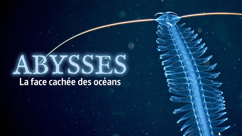 кадр из фильма Abysses, la face cachée des océans