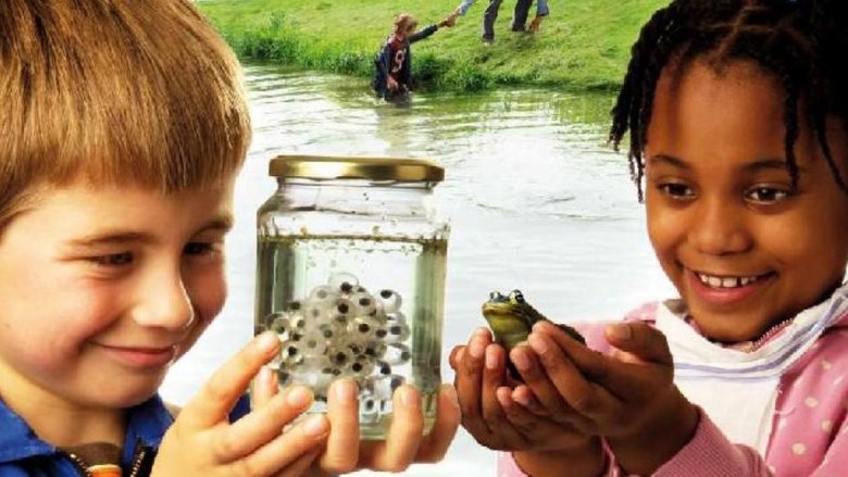 кадр из фильма Kikkerdril