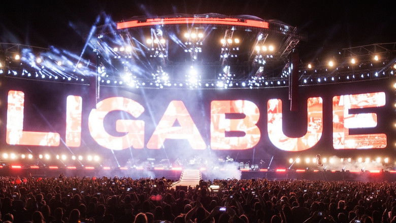 кадр из фильма Ligabue Campovolo - Il film