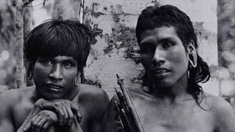 кадр из фильма Ailton Krenak: O Sonho da Pedra