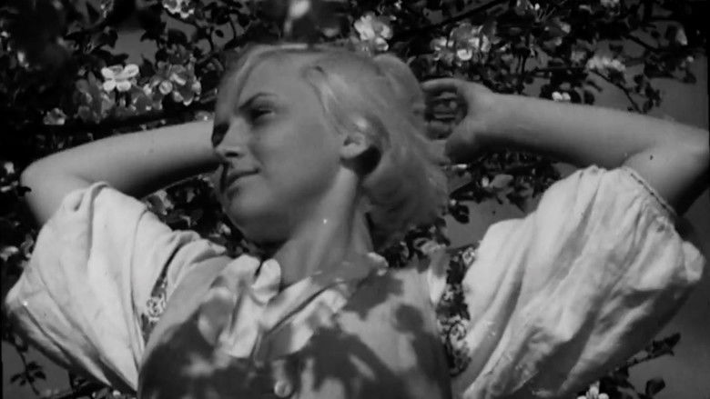 кадр из фильма Случайная встреча