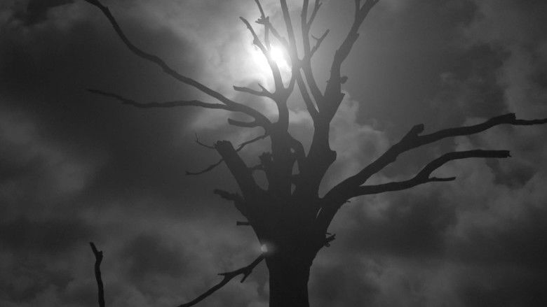 кадр из фильма Sword of Silence