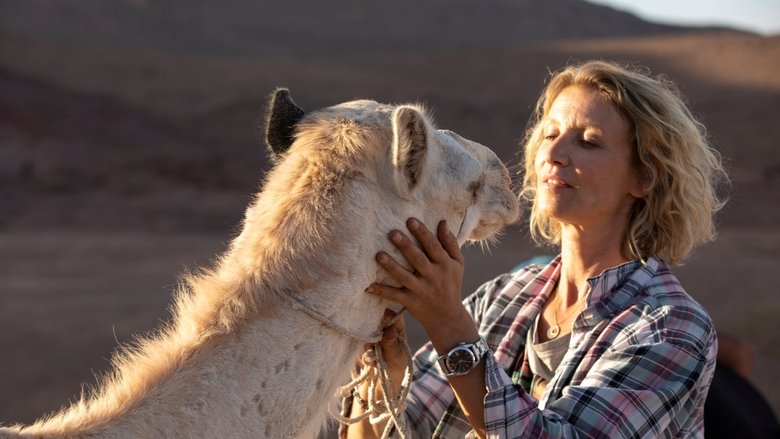 кадр из фильма Принц пустыни