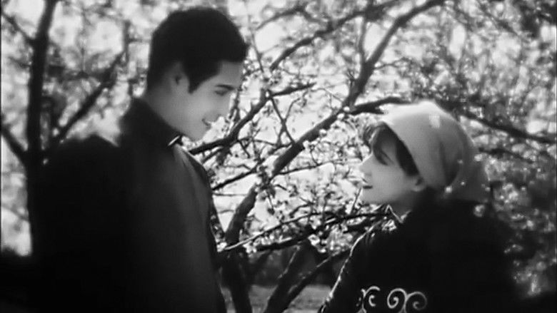 кадр из фильма Сборщица персиков