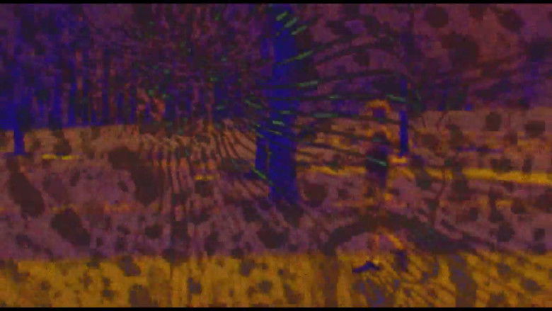 кадр из фильма Joose Psychedelia Test