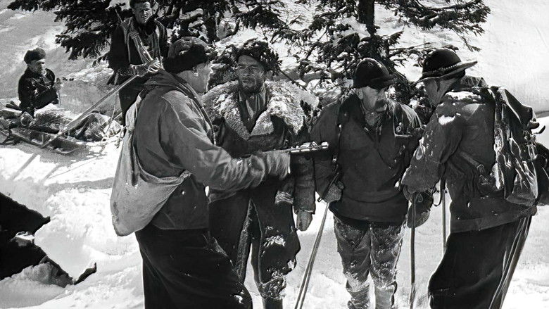 кадр из фильма Голубой крест