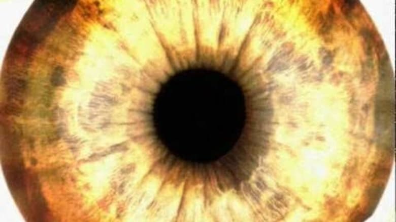 кадр из фильма The Rise and Fall of the Legendary Anglobilly Feverson